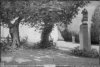 1903 - Ore solenni